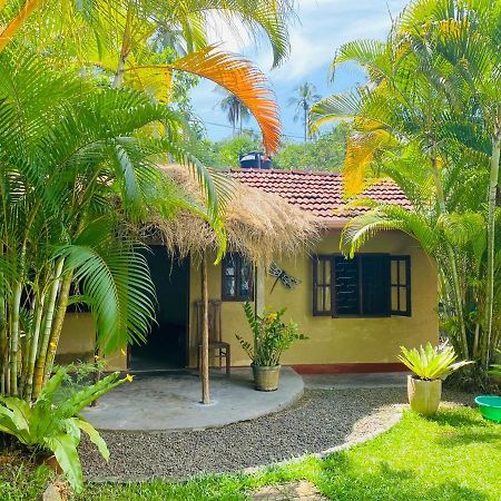 Mango Place Hikkaduwa Buitenkant foto